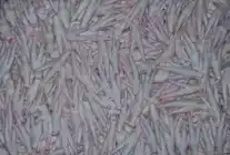 Kanatlı Sektörü, Çin’e Tavuk Ayağı İhracatını Bekliyor