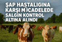 Şap Hastalığına Karşı Mücadelede Salgın Kontrol Altına Alındı!
