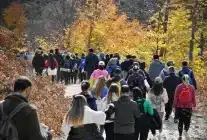 Balıkesir’de Öğretmenler Günü’ne Doğa Yürüyüşüyle Kutlama