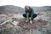 58 bin fidan muhsin yazicioglu vefa ormaninda toprakla bulustu