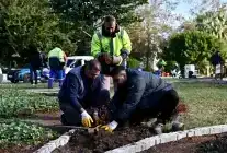 Trafik Parkı, Muratpaşa’da Çiçek Bahçesine Dönüştü