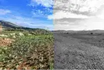 Mersin’de iklim ve yeşil dönüşüm çalışmaları öne çıkıyor