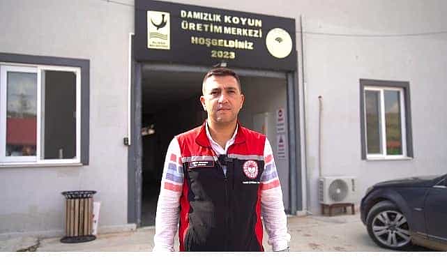 aliagada ureticiye destek suruyor hibeli koyun ve koclar ureticilere teslim edildi