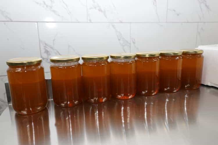 Artvin’de Apiterapi ve Bal Dolum Tesisi Açıldı