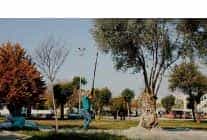 balcova belediyesinden kentin bereketine sahip cikan ornek calisma