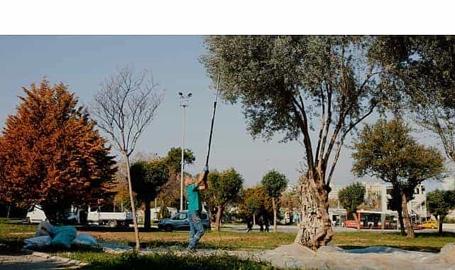 balcova belediyesinden kentin bereketine sahip cikan ornek calisma