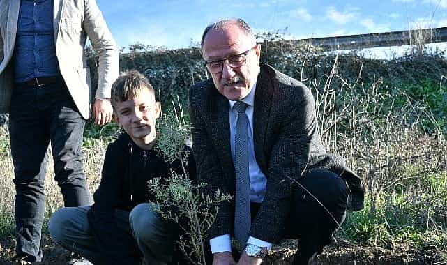 belediye baskani nergiz karaagacli ozturkten fidan dikimine destek