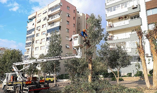 bucada budama seferberligi