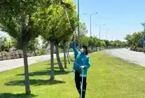 Gaziantep Büyükşehir’den Üvezle Mücadelede Yoğun İlaçlama