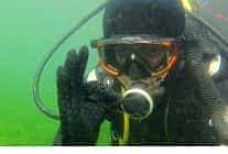 dipten dirilise canli taniklik