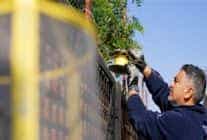 izmir buyuksehir belediyesinden karasinekle yogun mucadele