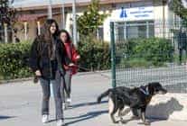 izmirli hayvansever corekcinin emanetlerine izmir buyuksehir belediyesi sahip cikti