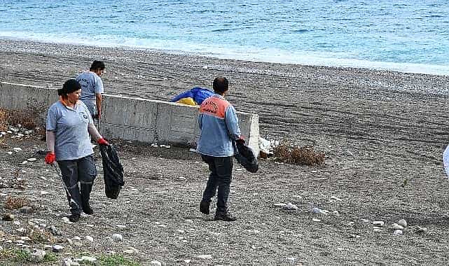 kemerde temizlik etkinligi