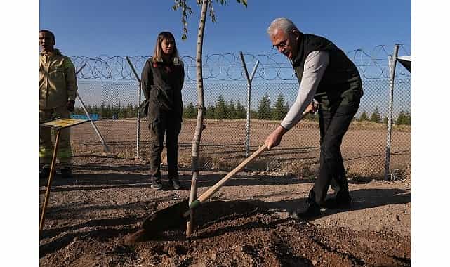 ogm 30 milyon fidan sahiplenildi