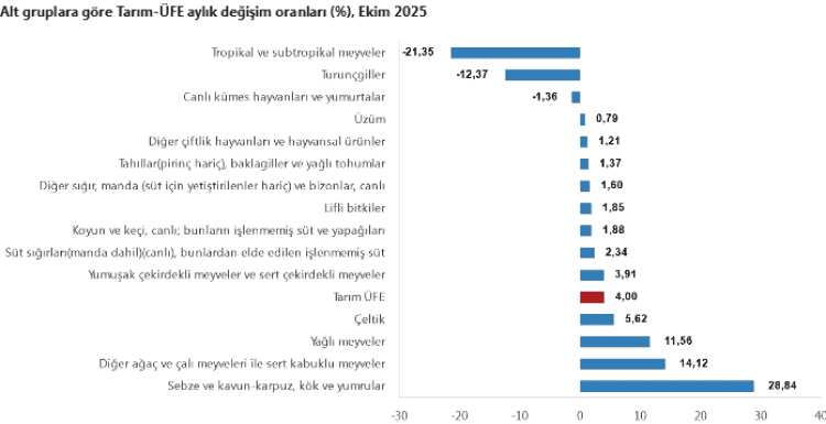 Tarım-ÜFE Yıllık %45,40 Arttı: Tek Yıllık Bitkisel Ürünlerde Sert Fiyat Artışı