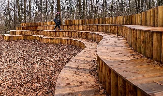 sonbahar huzurun adresi ormanyada bir baska