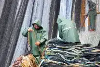 Av Sezonunun İlk Üç Ayında Hamsi Zirvede