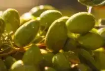 Marmarabirlik’te Üçüncü Dilim İçin Geri Sayım