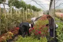 Muğla, Yerel Kalkınmaya Büyük Destek Veriyor