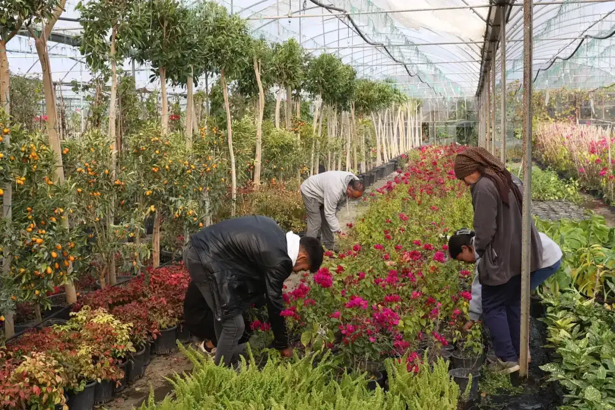 Muğla, Yerel Kalkınmaya Büyük Destek Veriyor