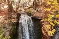 Mardin’in Doğal Harikası Sonbaharla Canlandı