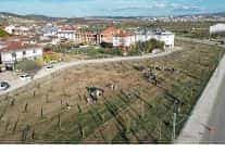 572 fidanli koruluk akhisara nefes olacak