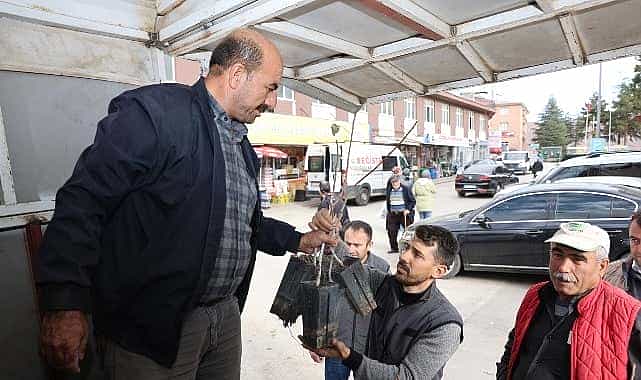 baskan altay mikro klima etkisine sahip bolgelerimizde kurakliga dayanikli yapisiyla antep fistigini yayginlastiriyoruz