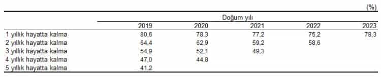 2024’te Yeni Girişim Oranı Yüzde 15,8’e Ulaştı