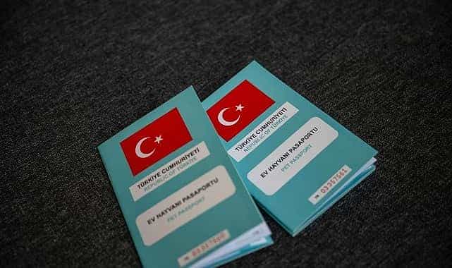 bornovada kirsalda sahiplendirme seferberligi