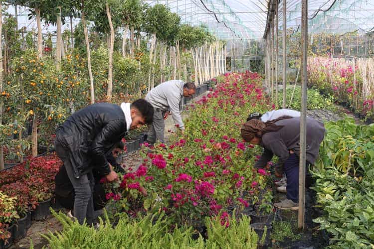 Muğla, Yerel Kalkınmaya Büyük Destek Veriyor