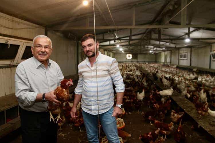 Ordu Yumurta Sektöründe Büyüme Dönemi