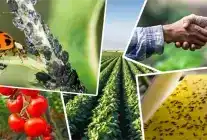 Tarımsal Destek Ödemelerinde Yeni Düzenleme