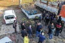 Büyükşehir’den Üreticilere Binlerce Fidan Desteği