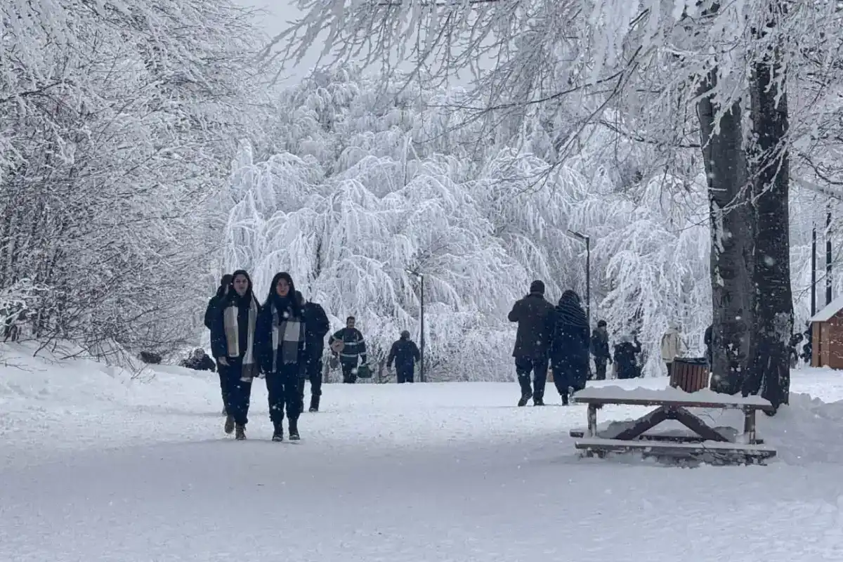 Ormanya, 2025’te Ziyaretçi Akınına Uğradı