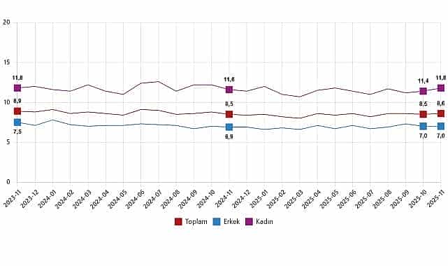 isgucu istatistikleri kasim 2025