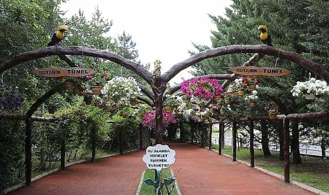 keciorende modern serada uretilen cicekler ilceyi susluyor