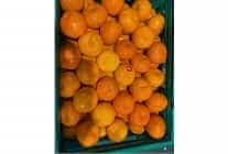 mandalina ihracati tarih yaziyor