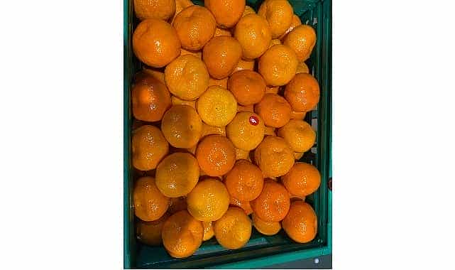 mandalina ihracati tarih yaziyor