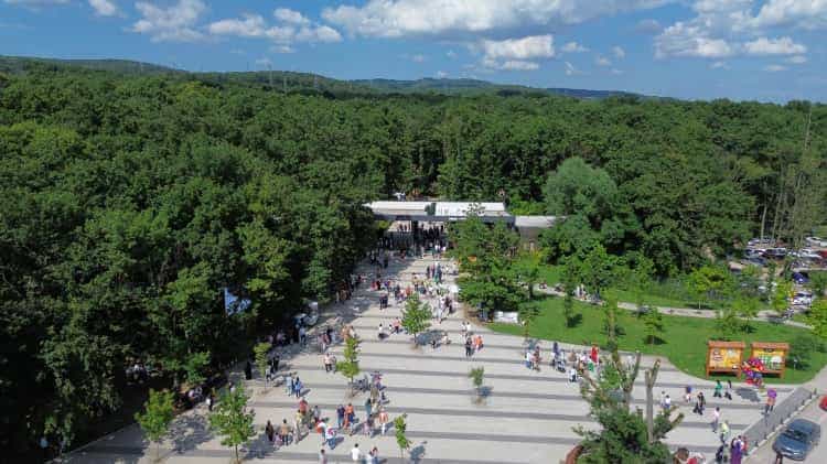 Ormanya, 2025’te Ziyaretçi Akınına Uğradı