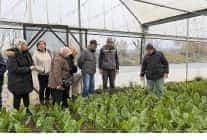 sayginlar kulubunun tarim keyfi