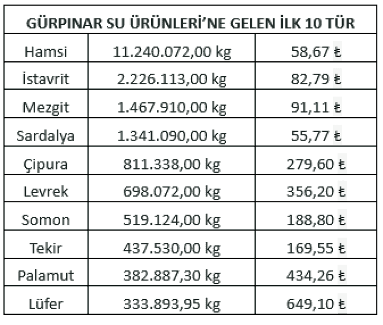 Av Sezonunun İlk Üç Ayında Hamsi Zirvede