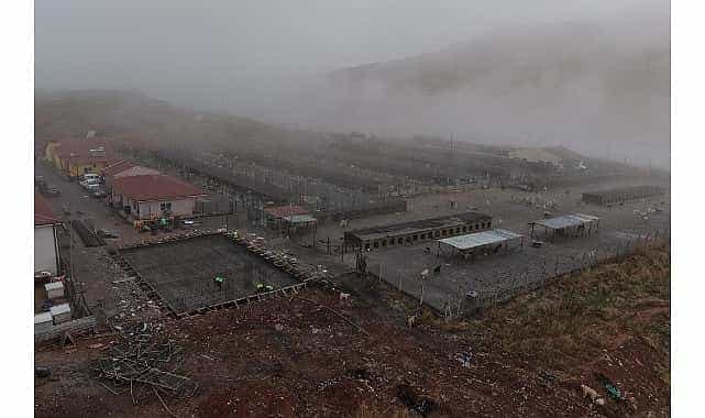 sokak hayvanlari icin modern saglikli ve dogal yasam projesi basladi