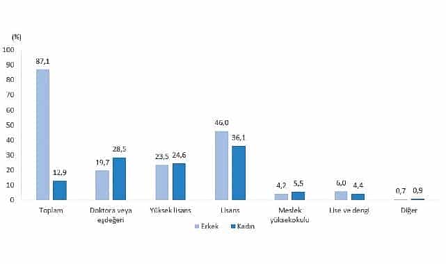 teknogirisim arastirmasi 2024
