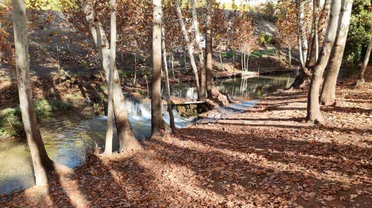 Mardin’in Doğal Harikası Sonbaharla Canlandı