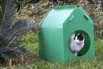 baskan tugay soz verdi kediler sicak yuvalarina kavustu