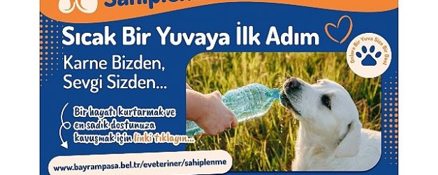 bayrampasada can dostlar yuvalarini bekliyor