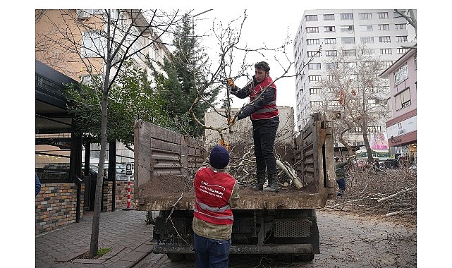 keciorende budama calismasiyla yesil ortu korunuyor