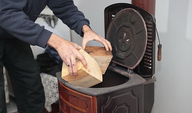 konakta kis dayanismasi budanan agaclar yuvalari isitiyor