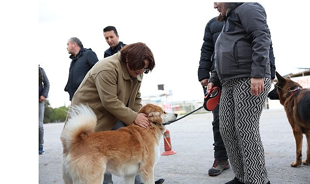 mavisehir mahallesinde buyuk donusum devam ediyor
