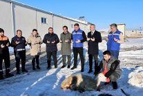 sivasta kar yagisi icin sukur kurbani kesildi